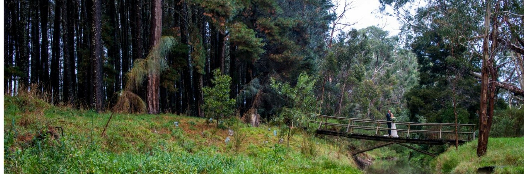 Woodhouse Weddings bridge