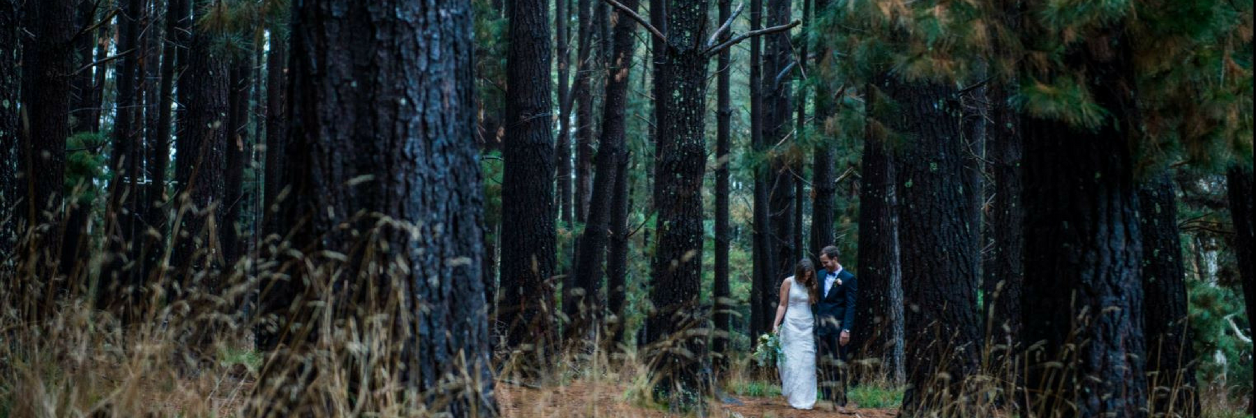 Weddings at Woodhouse Pine Forest