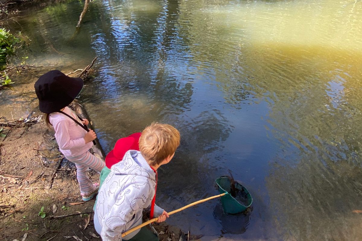 Students exploring the natural environment at Woodhouse