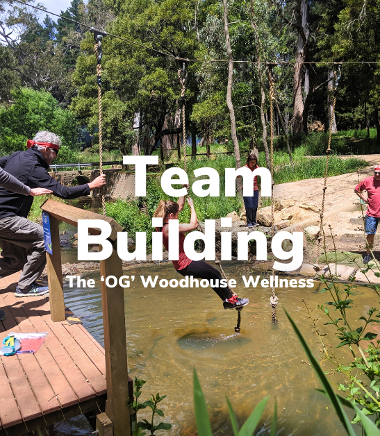 OG wellness2