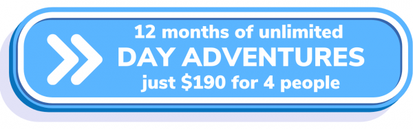 12 months unlimited day 