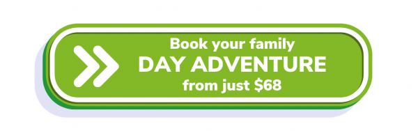 Book your day adventure 