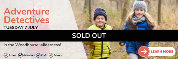 7 July Adventure Detectives Sold Out