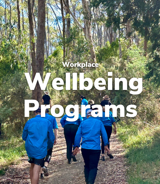 Wellbeing Programs portrait