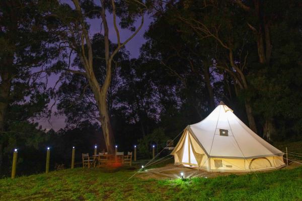 Glamping Bell Tent at Woodhouse Adventure Park