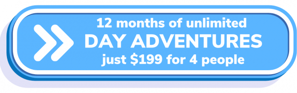 12 months unlimited day 2