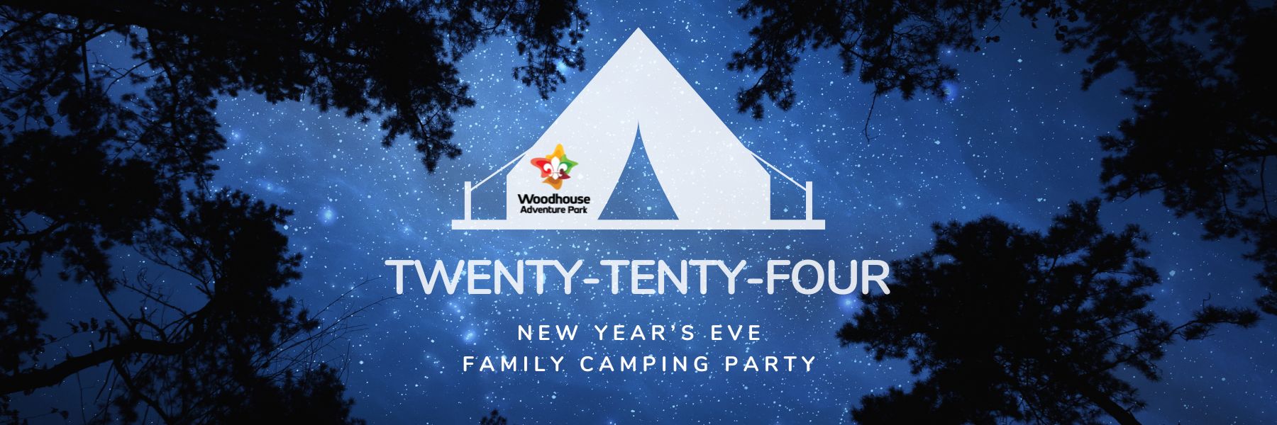 Twenty Tenty New Years Eve NYE Website Banner