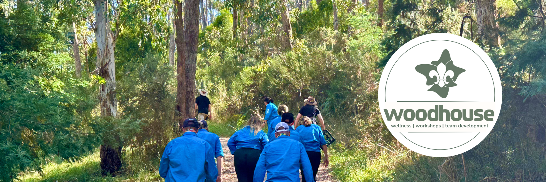 Website Banners logos 44